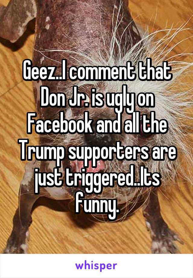 Geez..I comment that Don Jr. is ugly on Facebook and all the Trump supporters are just triggered..Its funny.