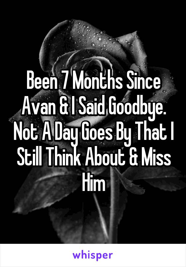 Been 7 Months Since Avan & I Said Goodbye. Not A Day Goes By That I Still Think About & Miss Him