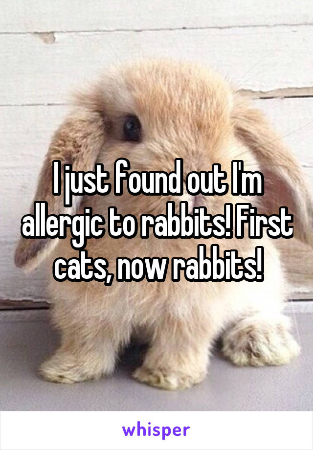 I just found out I'm allergic to rabbits! First cats, now rabbits!