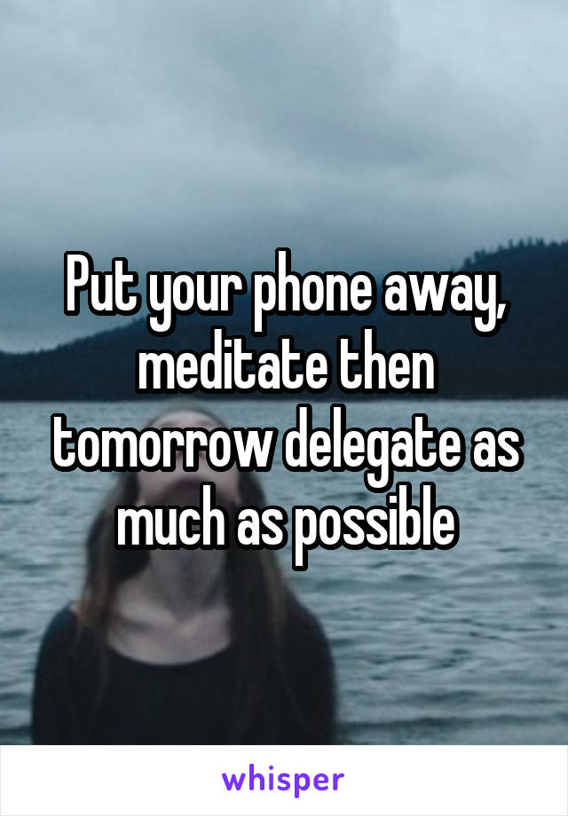 Put your phone away, meditate then tomorrow delegate as much as possible