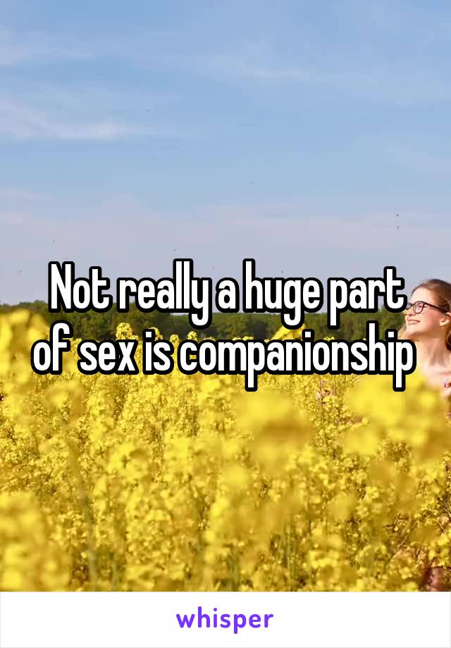 Not really a huge part of sex is companionship 