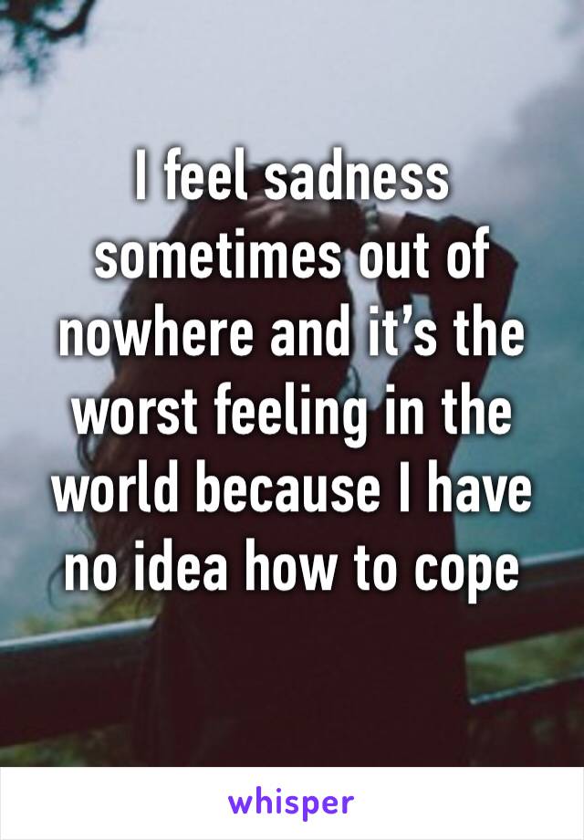 I feel sadness sometimes out of nowhere and it’s the worst feeling in the world because I have no idea how to cope 