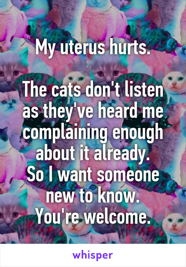 My uterus hurts.

The cats don't listen as they've heard me complaining enough about it already.
So I want someone new to know.
You're welcome.