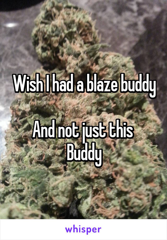 Wish I had a blaze buddy 
And not just this 
Buddy