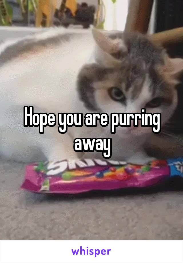 Hope you are purring away