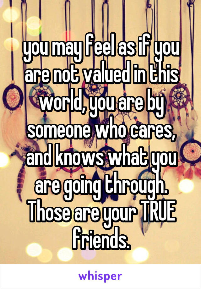 you may feel as if you are not valued in this world, you are by someone who cares, and knows what you are going through. Those are your TRUE friends.