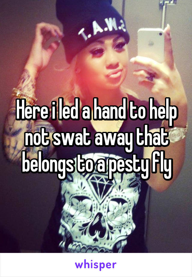 Here i led a hand to help not swat away that belongs to a pesty fly