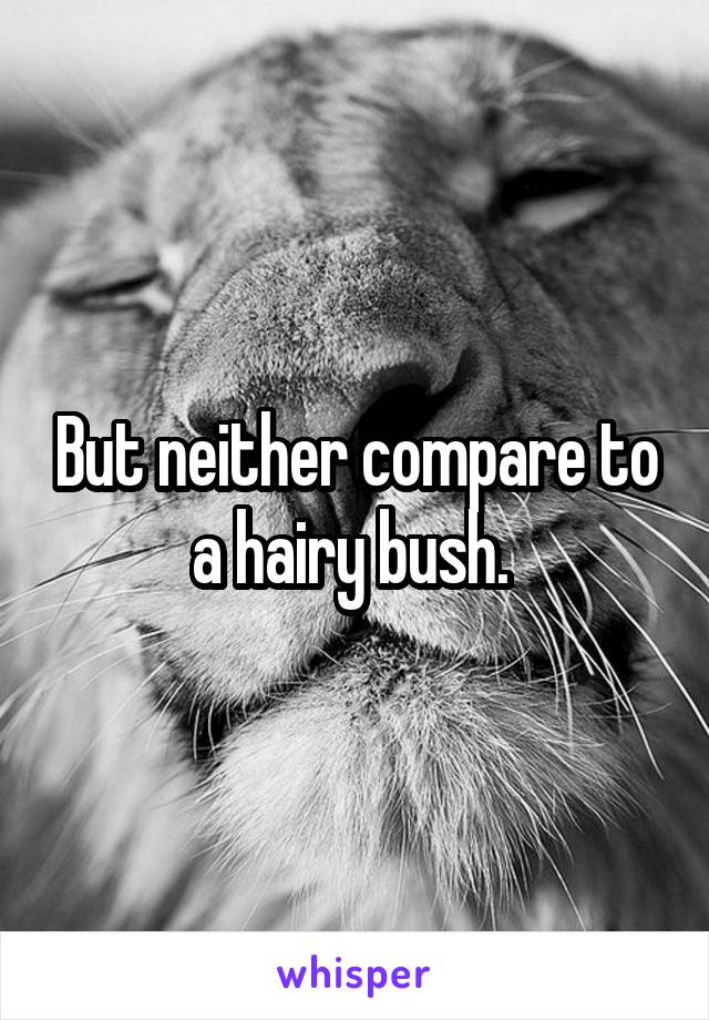 But neither compare to a hairy bush. 