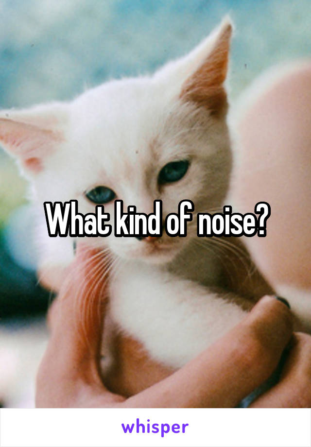 What kind of noise?