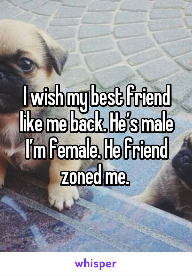 I wish my best friend like me back. He’s male I’m female. He friend zoned me. 