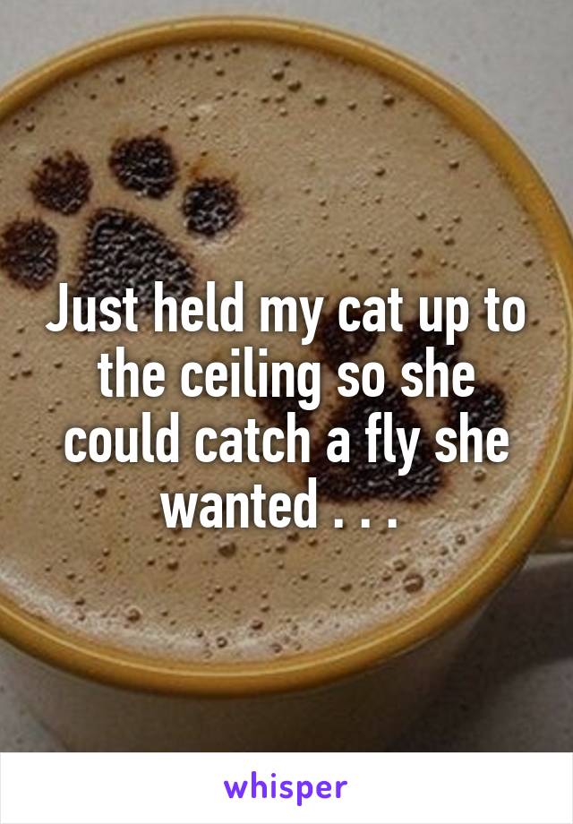 Just held my cat up to the ceiling so she could catch a fly she wanted . . . 