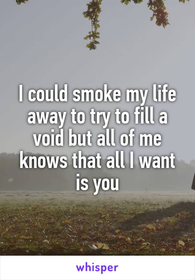 I could smoke my life away to try to fill a void but all of me knows that all I want is you