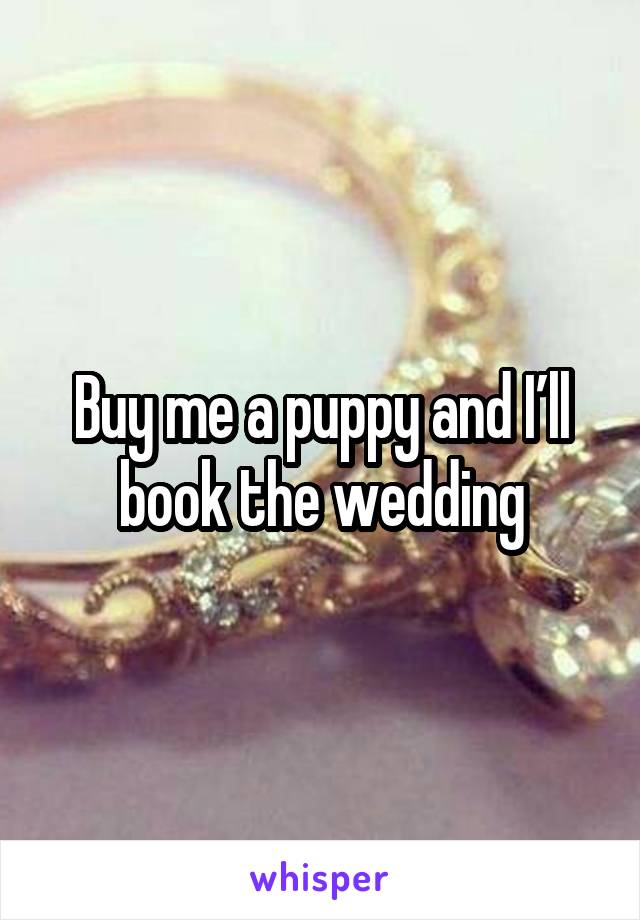 Buy me a puppy and I’ll book the wedding