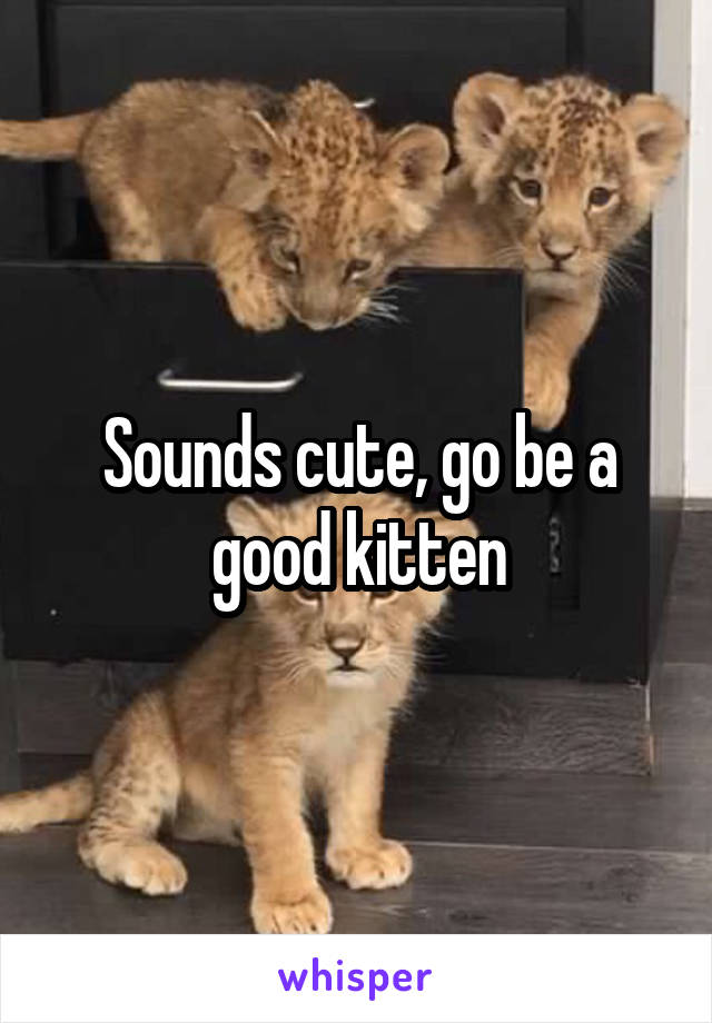 Sounds cute, go be a good kitten