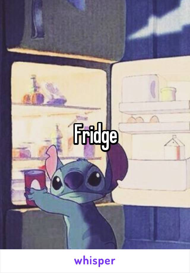 Fridge