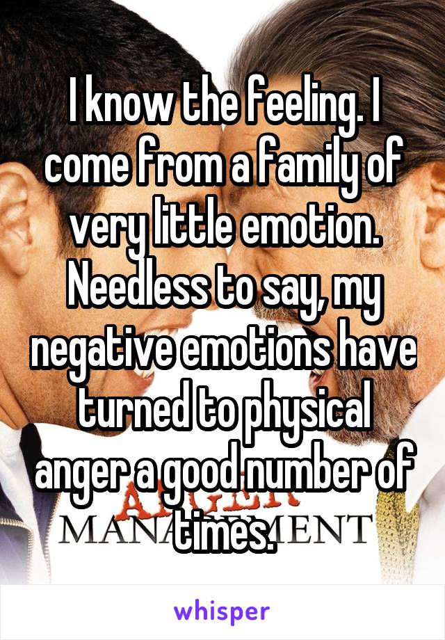 I know the feeling. I come from a family of very little emotion. Needless to say, my negative emotions have turned to physical anger a good number of times.