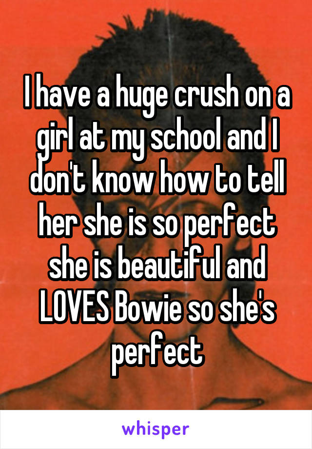 I have a huge crush on a girl at my school and I don't know how to tell her she is so perfect she is beautiful and LOVES Bowie so she's perfect