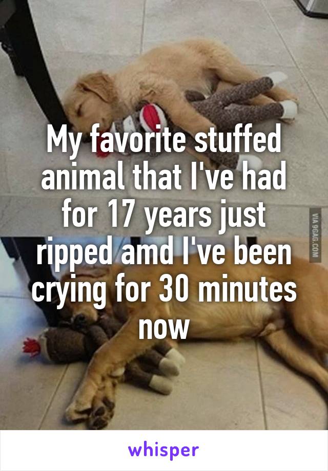 My favorite stuffed animal that I've had for 17 years just ripped amd I've been crying for 30 minutes now