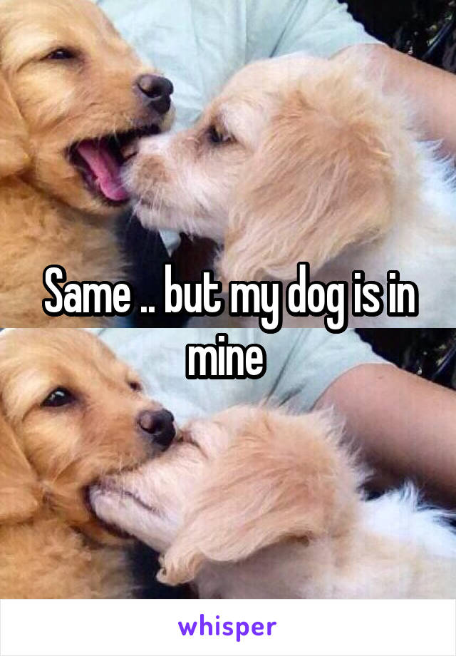 Same .. but my dog is in mine 