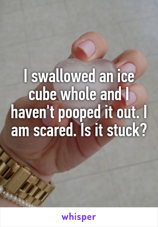 I swallowed an ice cube whole and I haven't pooped it out. I am scared. Is it stuck? 