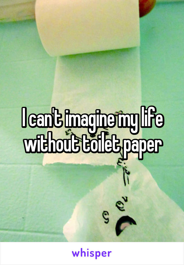 I can't imagine my life without toilet paper