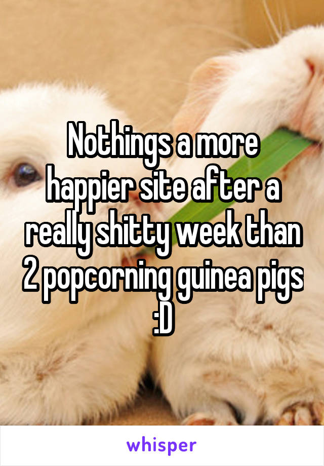 Nothings a more happier site after a really shitty week than 2 popcorning guinea pigs :D