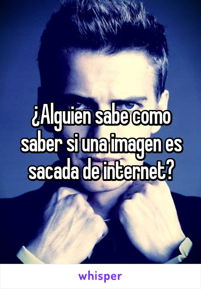 ¿Alguien sabe como saber si una imagen es sacada de internet?