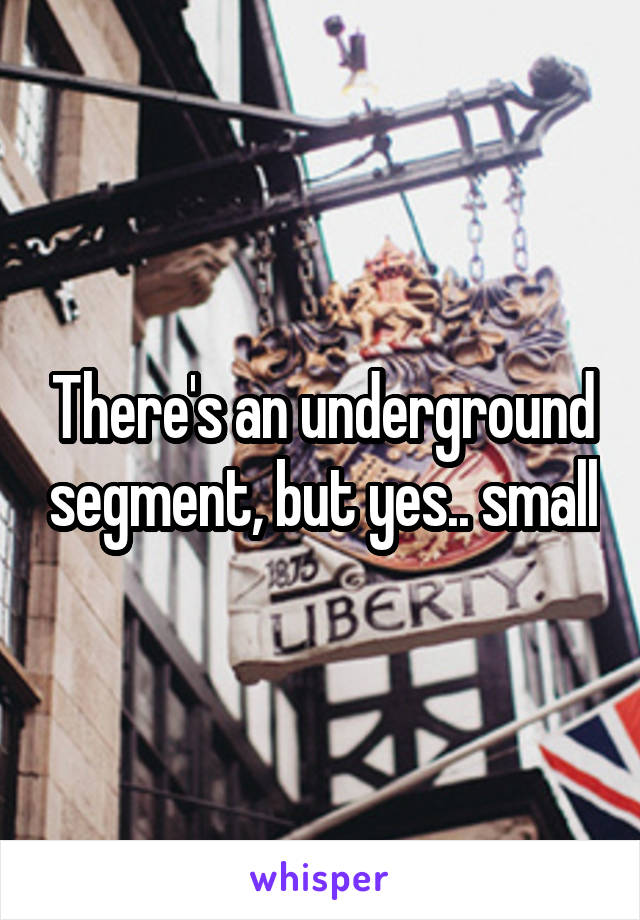 There's an underground segment, but yes.. small