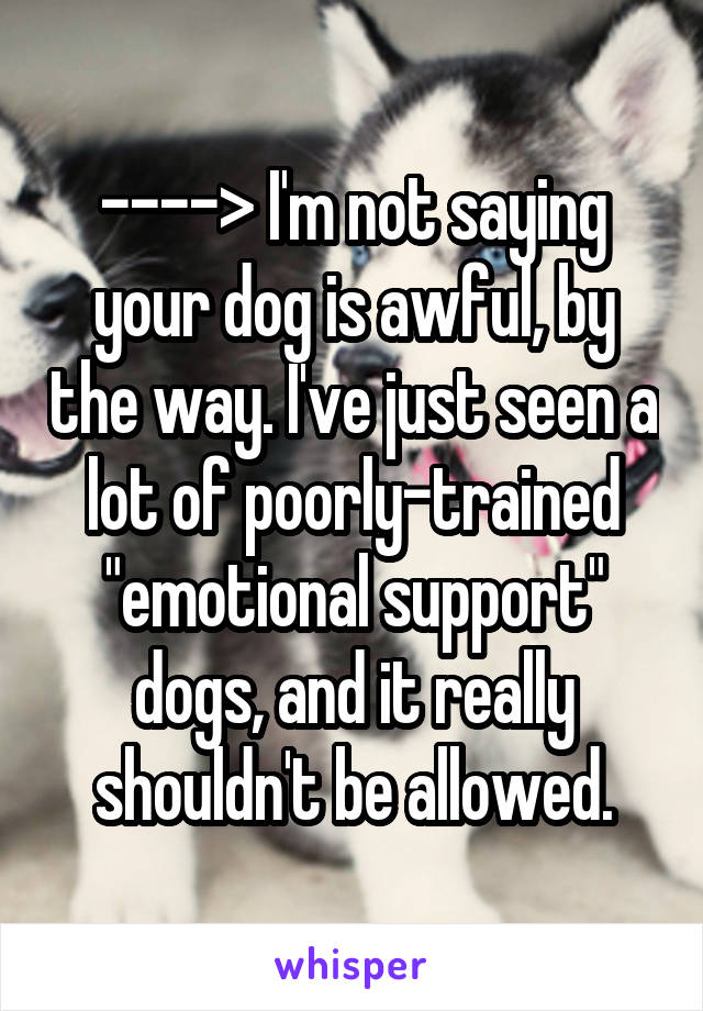 ----> I'm not saying your dog is awful, by the way. I've just seen a lot of poorly-trained "emotional support" dogs, and it really shouldn't be allowed.