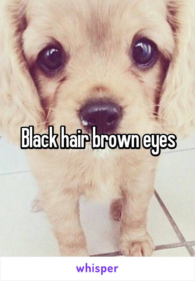 Black hair brown eyes