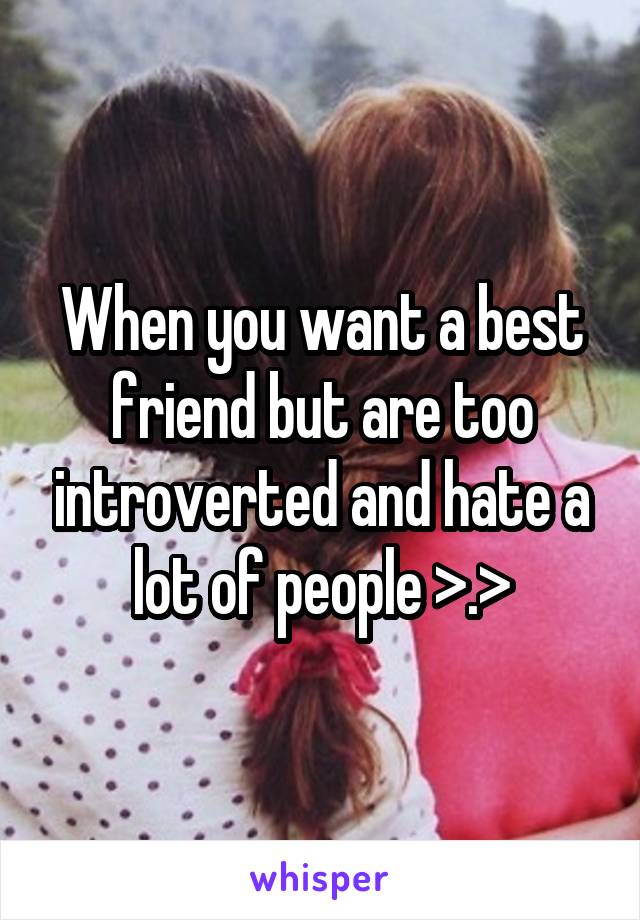 When you want a best friend but are too introverted and hate a lot of people >.>