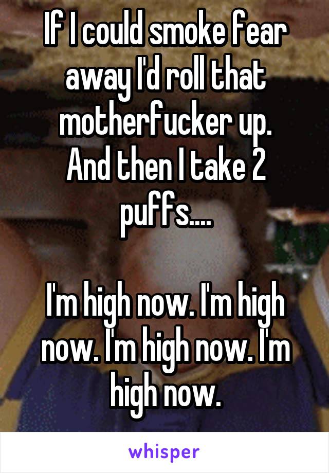 If I could smoke fear away I'd roll that motherfucker up.
And then I take 2 puffs....

I'm high now. I'm high now. I'm high now. I'm high now.
