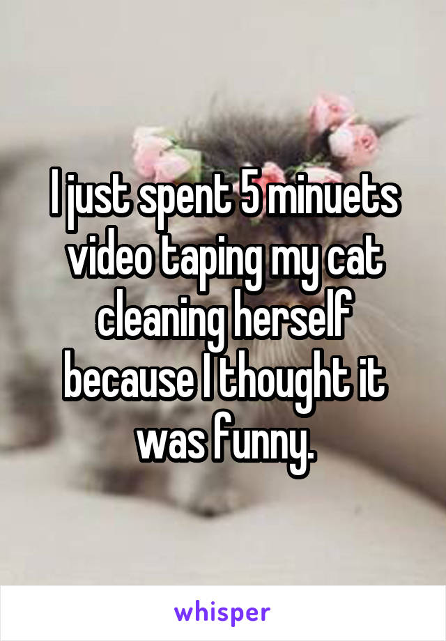 I just spent 5 minuets video taping my cat cleaning herself because I thought it was funny.