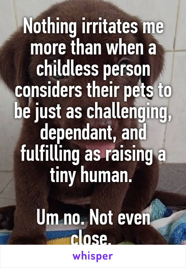 Nothing irritates me more than when a childless person considers their pets to be just as challenging, dependant, and fulfilling as raising a tiny human. 

Um no. Not even close. 