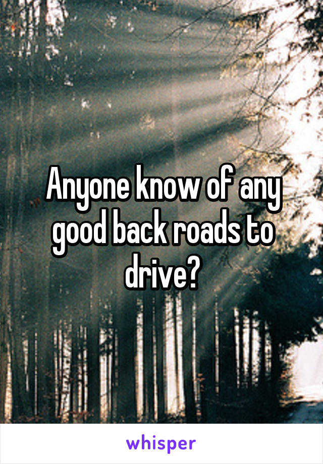 Anyone know of any good back roads to drive?