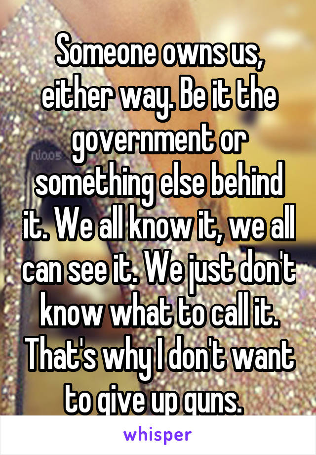 Someone owns us, either way. Be it the government or something else behind it. We all know it, we all can see it. We just don't know what to call it. That's why I don't want to give up guns.  