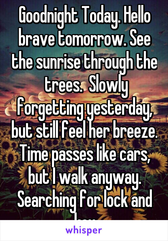 Goodnight Today. Hello brave tomorrow. See the sunrise through the  trees.  Slowly forgetting yesterday, but still feel her breeze. Time passes like cars, but I walk anyway. Searching for lock and key