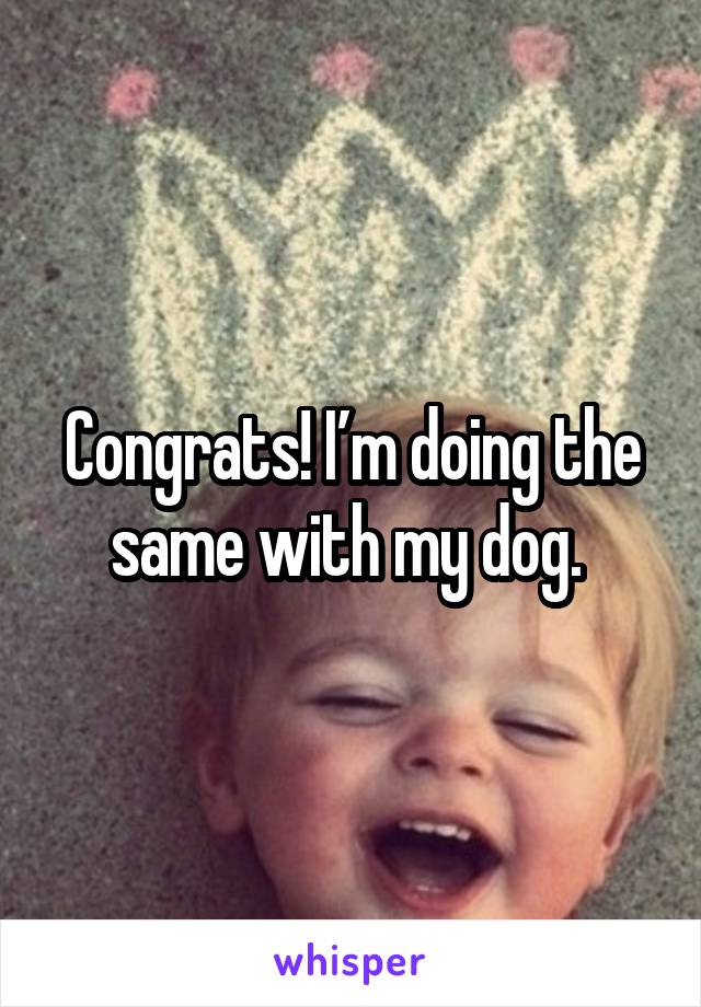 Congrats! I’m doing the same with my dog. 