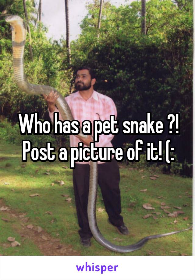 Who has a pet snake ?!
Post a picture of it! (: