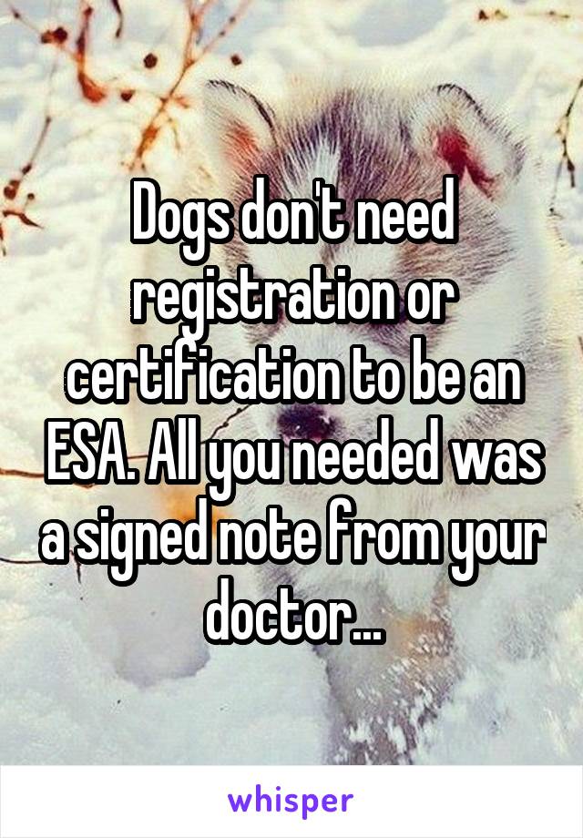 Dogs don't need registration or certification to be an ESA. All you needed was a signed note from your doctor...