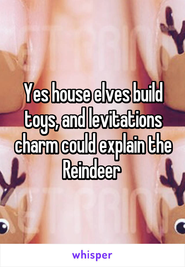 Yes house elves build toys, and levitations charm could explain the Reindeer 