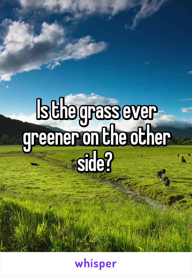 Is the grass ever greener on the other side? 