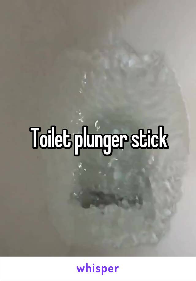 Toilet plunger stick