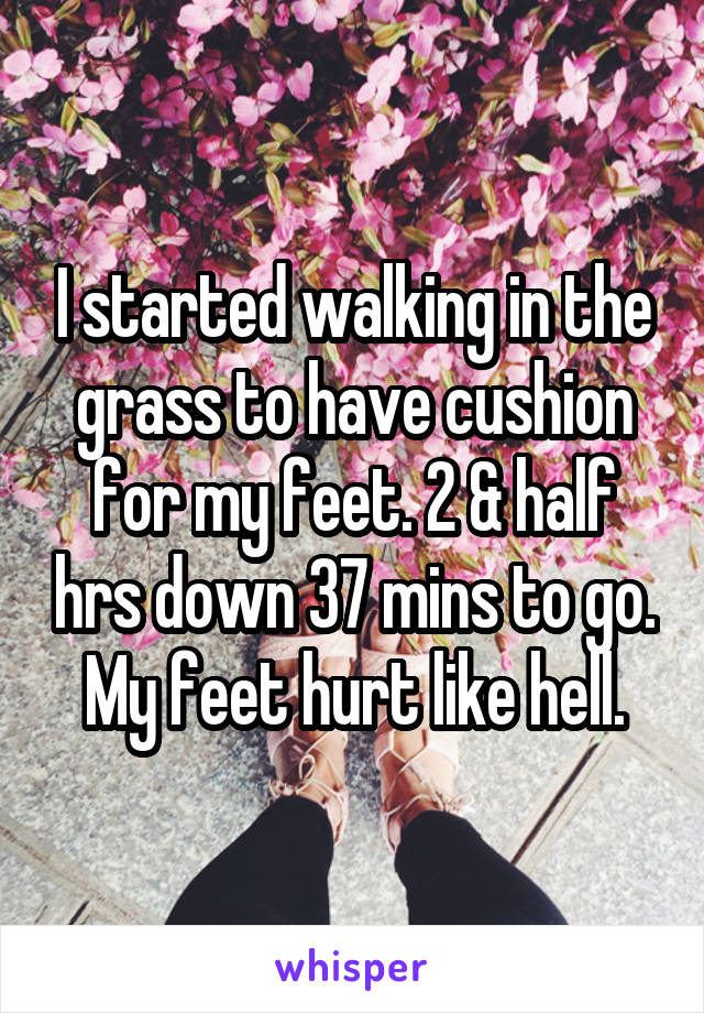 I started walking in the grass to have cushion for my feet. 2 & half hrs down 37 mins to go.
My feet hurt like hell.