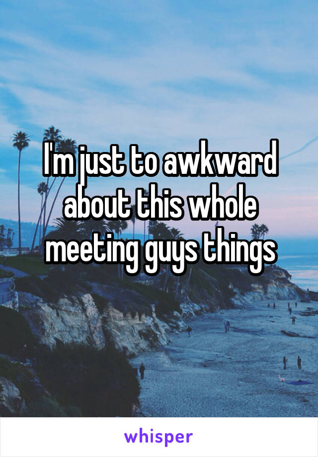 I'm just to awkward about this whole meeting guys things
