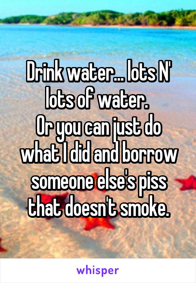 Drink water... lots N' lots of water. 
Or you can just do what I did and borrow someone else's piss that doesn't smoke.