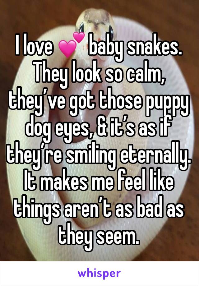 I love 💕 baby snakes. They look so calm, they’ve got those puppy dog eyes, & it’s as if they’re smiling eternally.
It makes me feel like things aren’t as bad as they seem.