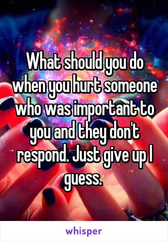 What should you do when you hurt someone who was important to you and they don't respond. Just give up I guess. 