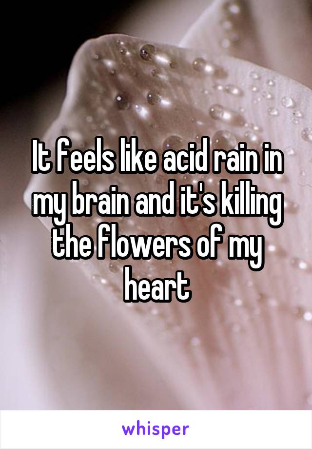 It feels like acid rain in my brain and it's killing the flowers of my heart