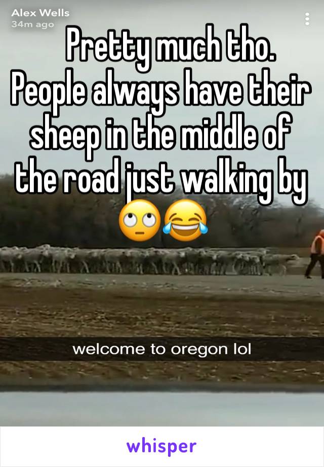    Pretty much tho. People always have their sheep in the middle of the road just walking by 🙄😂